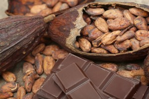 【ガーナ】チョコレート産業のグローバル企業12社、サステナビリティ戦略「カカオ・アクション」を発表