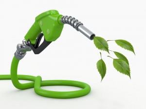 【エネルギー】バイオ燃料の種類・実用性・課題