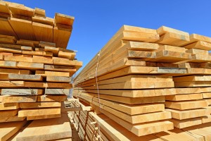 【アメリカ】木材・製紙産業、サステナビリティ目標の達成へ大きく前進