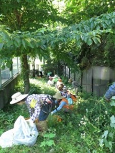 【9/11 東京】企業人のための「都市の中の自然保護活動 現場体験＆セミナー」を開催！