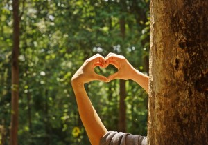 【イギリス】WWFとユニリーバ、世界の森林保護に向けて1年間のパートナーシップを締結　