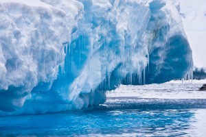 【環境】地球規模で観測される気候変動 @ハーバード大学サステナビリティ講座（１）
