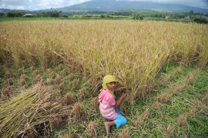 【インドネシア】インドネシア政府、2022年までに児童労働を根絶へ