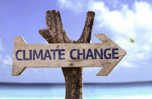 【イギリス】ガーディアンとベン&ジェリーズ、ユーモアで気候変動問題を啓蒙するキャンペーンを展開