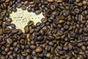 【エチオピア】ネスレら、コーヒーのトレーサビリティ・システムに130万米ドルを投資