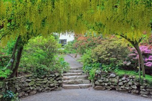 【イギリス】ナショナルトラスト、パナソニックのソーラーパネルを歴史的な庭園に設置