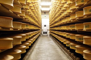 【フランス】フランスの発電所、チーズからバイオガス発電。1500世帯分の電力を創出