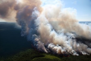 【インドネシア】熱帯雨林の火災と煙害、約50社が処罰・捜査の対象に。周辺国への被害も拡大