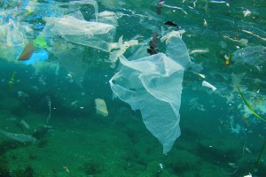 【国際】2050年までに、海洋には魚よりも廃棄プラスチックのほうが多くなる