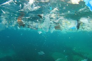 【国際】海洋プラスチック廃棄物が生態系と人類に深刻な被害。UNEP報告書