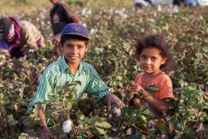 【国際】FAOとILO、農業分野での児童労働防止にむけたEラーニングの提供開始