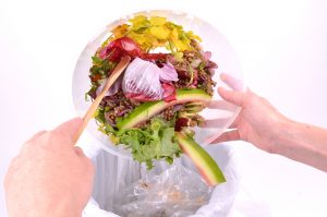 【アメリカ】食品廃棄物処理機BioHiTech、売上が急増。背景には企業の廃棄物ゼロへの取組