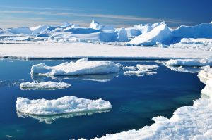 【国際】南極海に世界最大の海洋保護区誕生。南極海洋生物資源保存条約で加盟国が合意