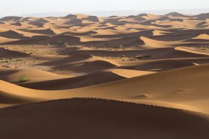 【西サハラ】領土紛争に絡むモロッコ政府のグリーンボンド発行、ESG評価会社が抱える新たな課題