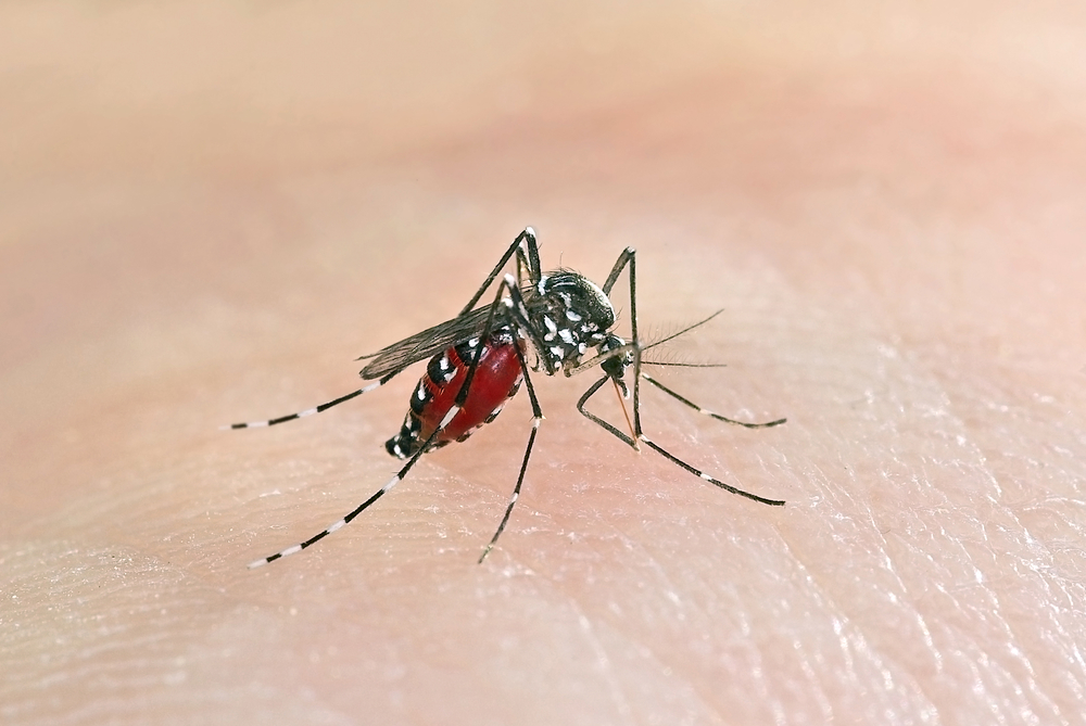 【日本】住友化学、デング熱・ジカ熱対策に有効な蚊駆除樹脂製剤で世界初のWHO推進取得 1