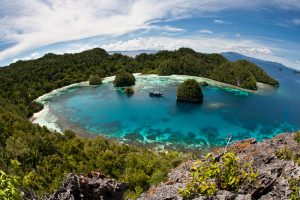 【パプアニューギニア】違法伐採木材が世界に流通。グローバル・ウィットネス調査。双日も調達一時停止か