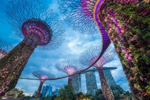 【シンガポール】政府、次世代エネルギーシステム構築「グリッド2.0計画」を発表。R&D強化