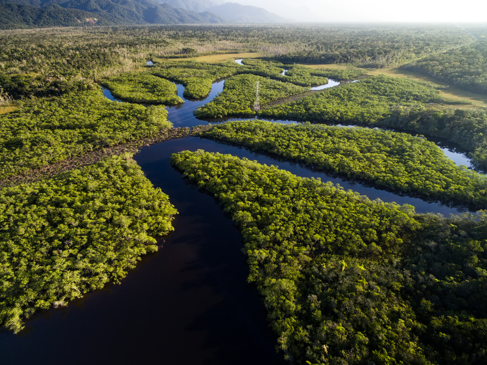 【ブラジル】大統領、アマゾンの国立保護区の一部で資源採掘を容認する大統領令に署名 1