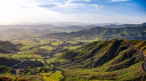 【エチオピア】ノルウェー政府がエチオピアでの森林保護活動に資金拠出。気候変動対策