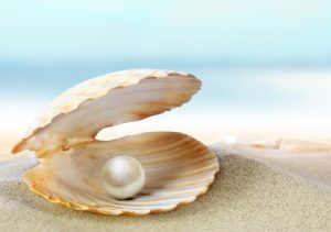 【オーストラリア】西オーストラリア州の真珠生産協会、真珠では世界初となるMSC認証取得