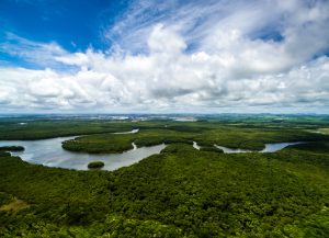 【ブラジル】国際環境NGOのCI、アマゾンで世界最大の森林再生プロジェクト開始。政府、国際機関とも連携