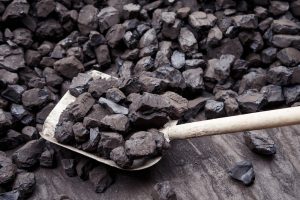 【国際】Urgewald、世界石炭関連約800社のデータベースを公開。投資家・銀行が主な利用者