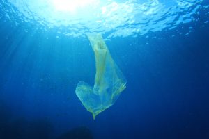 【国際】デル等大手企業、海洋プラスチック削減イニシアチブ「NextWave」発足。UNEPも支援