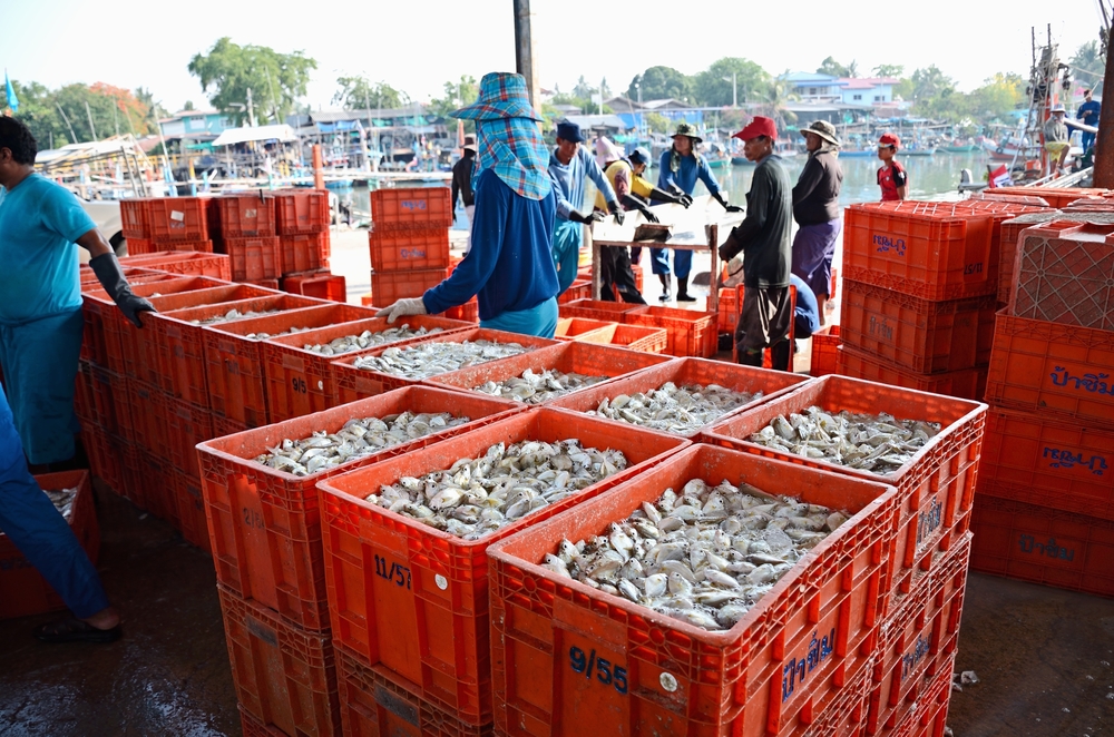 【タイ】タイ・ユニオンとネスレ、労働者人権に配慮した漁船発表。標準モデル目指す 1