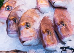 【日本】イオン、MSC・ASC認証取得商品が29魚種53品目に拡大