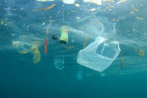 【イギリス】政府、英連邦諸国の海洋プラスチック削減イニシアチブCCOA始動。すでに4ヶ国が参加