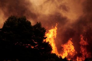 【ギリシャ】アッティカ地方で大規模山火事発生。死者80人以上。気候変動影響の指摘も