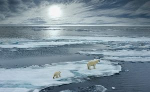 【国際】北極海公海で商業漁業を禁止する協定、北極海沿岸5ヶ国と日中韓EUアイスランドが署名