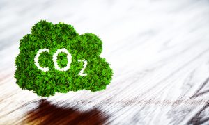【EU】欧州委、2050年までにCO2純排出量ゼロの長期戦略方針採択。2019年欧州理事会での合意視野