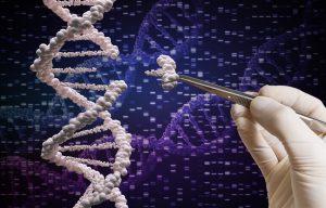【日本】厚労省、DNA切断のゲノム編集技術は「組換えDNA技術」に該当せず安全審査不要と判断