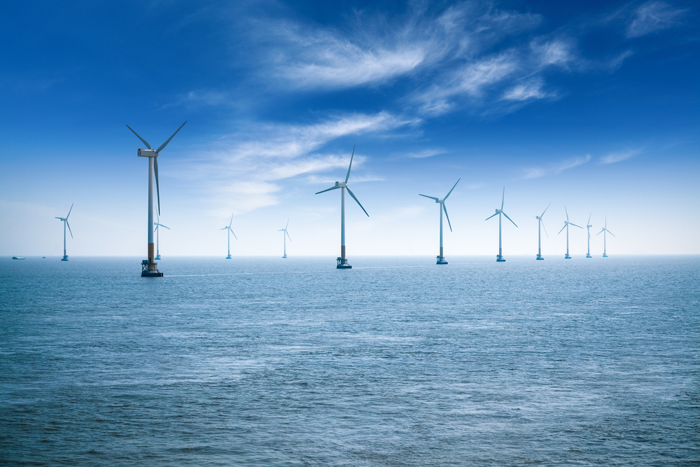 【デンマーク】オーステッド、洋上風力発電での生物多様性ポリシー発表。環境アセスメントを自主実施 1