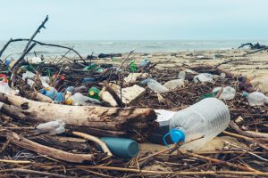 【国際】グローバル大手約30社、海洋プラスチック対策でNGO「Alliance to End Plastic Waste」新設