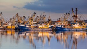 【国際】持続可能な保険原則PSIとOceana、損保向けにIUU漁業検知チェックリスト策定