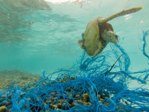 【国際】UNEP、海洋プラスチック関連でレポート3本発表。各国政府向けのガイドラインも