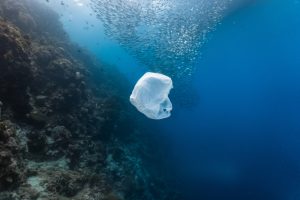 【国際】UNEP、使い捨てプラスチックの各国規制レポート公表。小売店でのビニール袋配布規制導入は84ヶ国