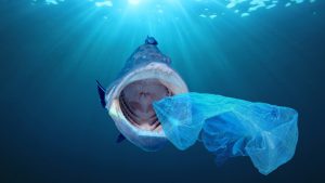 【国際】世界銀行、海洋プラスチック問題へ対応の「持続可能な開発ボンド」発行。SBGに準拠