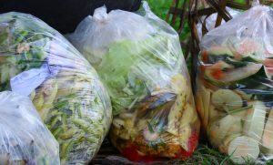 【イギリス】政府、2030年までの食品廃棄物半減を誓約。ネスレ、テスコ等の企業も署名