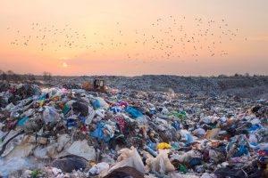 【国際】WWF、プラごみ削減イニシアチブ「ReSource:Plastic」発足。P&G、マクドナルド、コカ・コーラ等主導