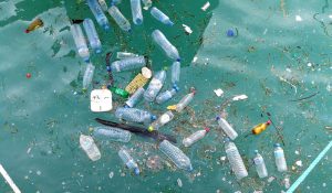 【日本】政府、海洋プラスチックごみ対策アクションプラン策定。リサイクル手法に今後注目