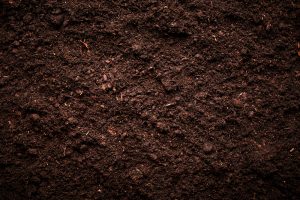【国際】FAO、航空業界に対し「持続可能な土壌マネジメント」によるカーボンオフセット提唱