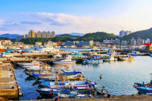 【EU】欧州委、台湾に対するIUU漁業イエローカード指定を撤廃。3年半の政策協議が奏功