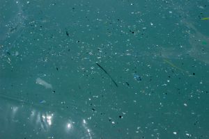 【国際】WHO、海洋プラスチックの健康リスクに関する研究推進を要求。リスク判定には情報不足