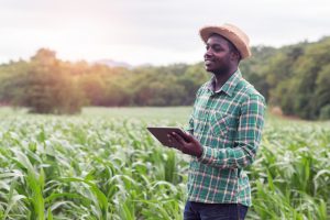 【東アフリカ】キャップジェミニ、小規模農家向けAI活用ツール提供開始。現地支援企業との共同開発