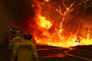 【オーストラリア】南東部の山火事、10万km2焼失。コアラ8000頭死亡。フェイスブックで55億円寄付集まる