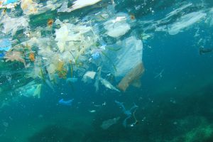 【アメリカ】連邦上院、海洋プラスチックごみ対策法案可決。連邦政府機関の対策強化。下院審議へ