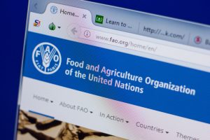 【国際】FAO、新型コロナ対策で各国の農業関連政策を一覧にして公表。途上国政府活用念頭に